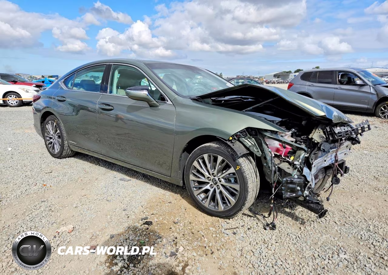 2020 Lexus Es 300H VIN:58AD21B1XLU010012 - 4