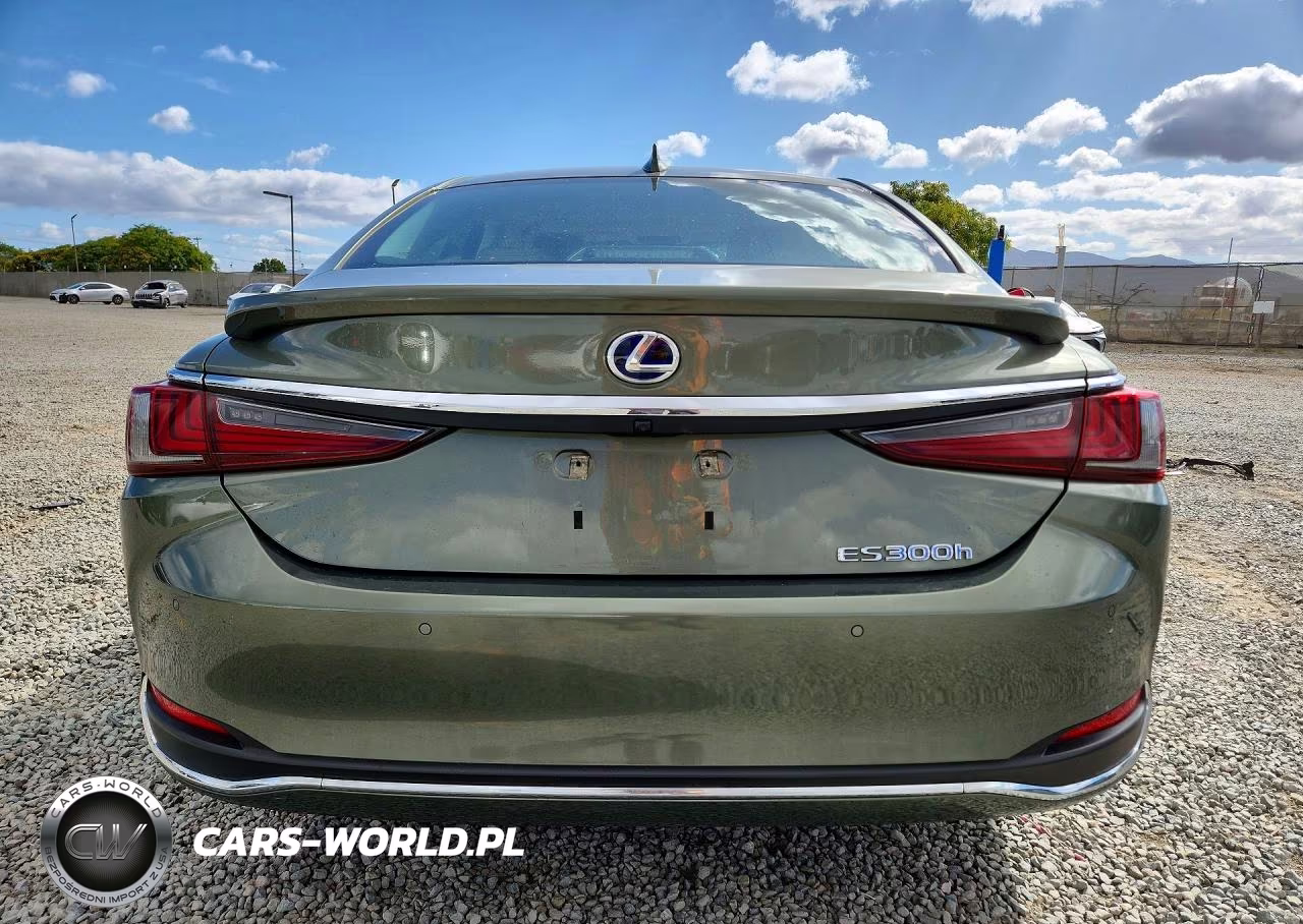 2020 Lexus Es 300H VIN:58AD21B1XLU010012 - 6
