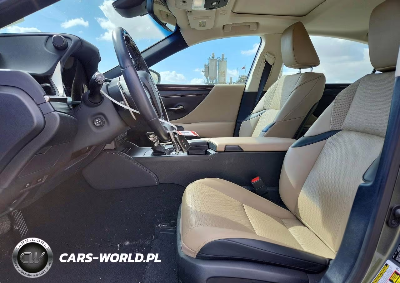 2020 Lexus Es 300H VIN:58AD21B1XLU010012 - 7