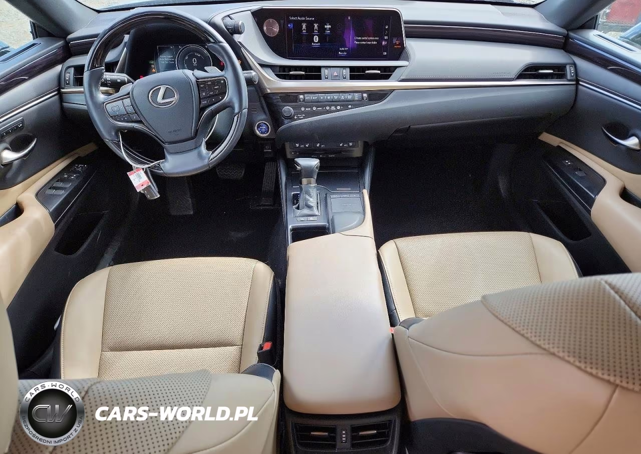 2020 Lexus Es 300H VIN:58AD21B1XLU010012 - 8