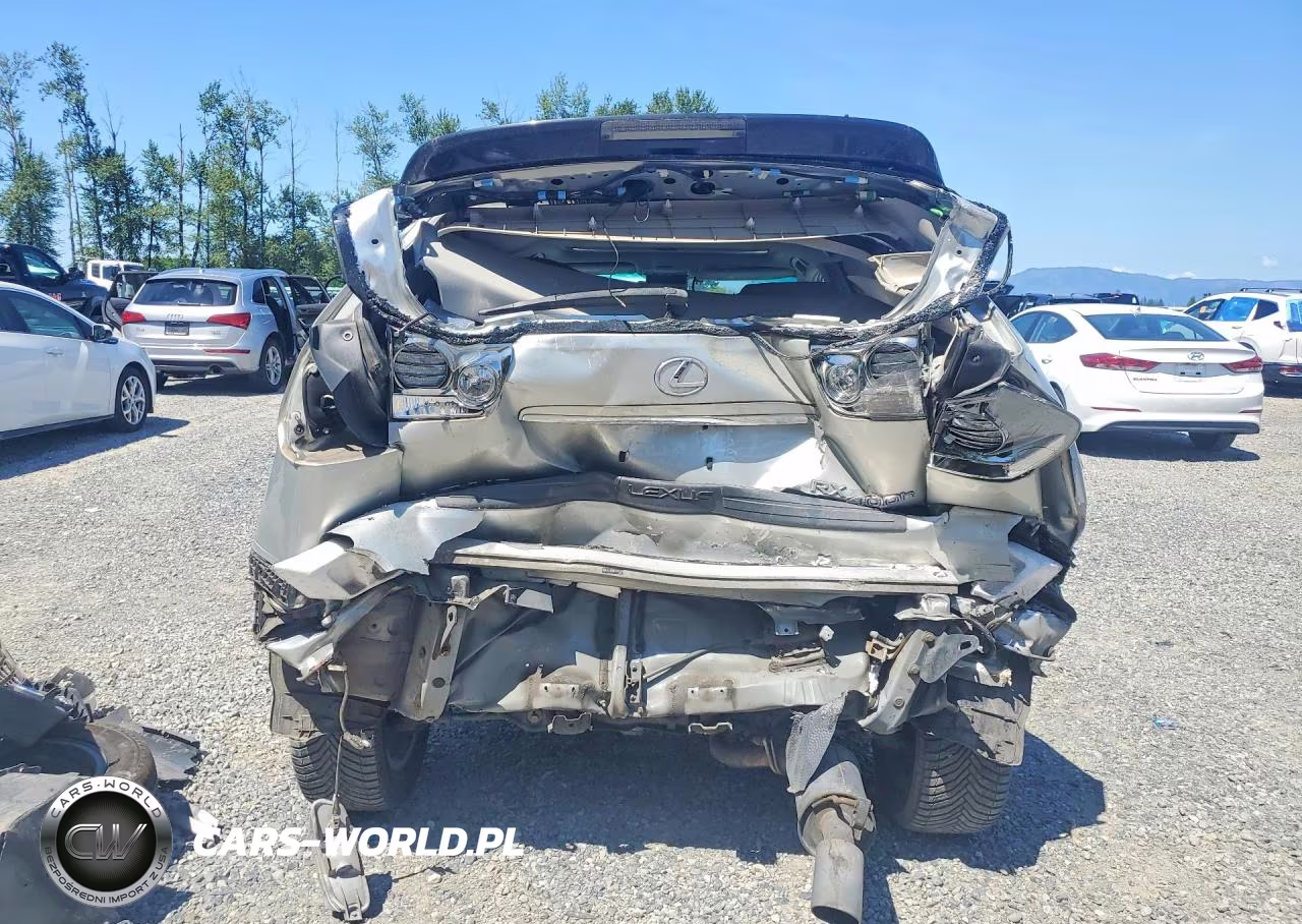 2007 Lexus Rx 400H VIN:JTJHW31U772018186 - 6