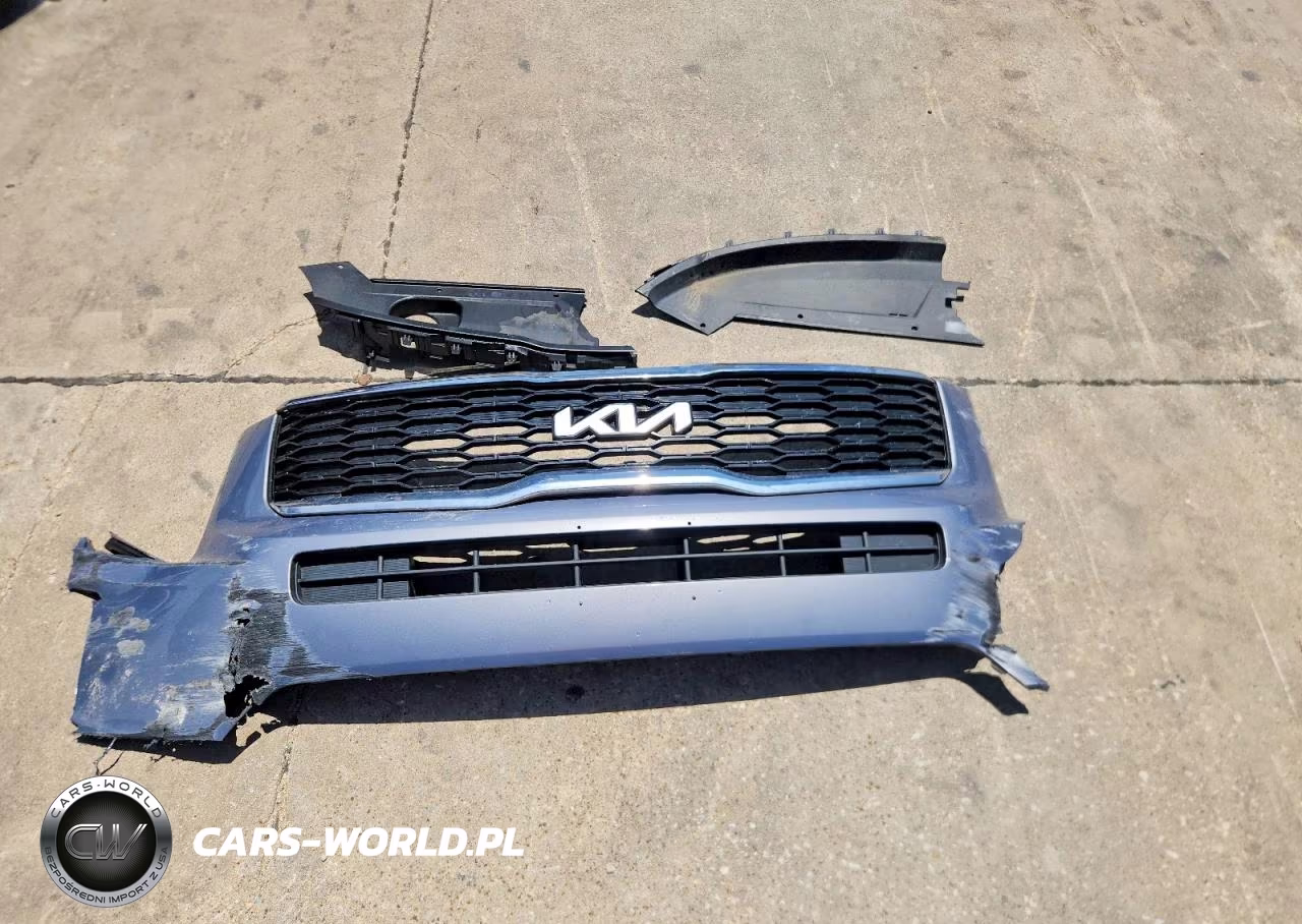 2022 Kia Telluride Lx VIN:5XYP2DHC8NG295588 - 13