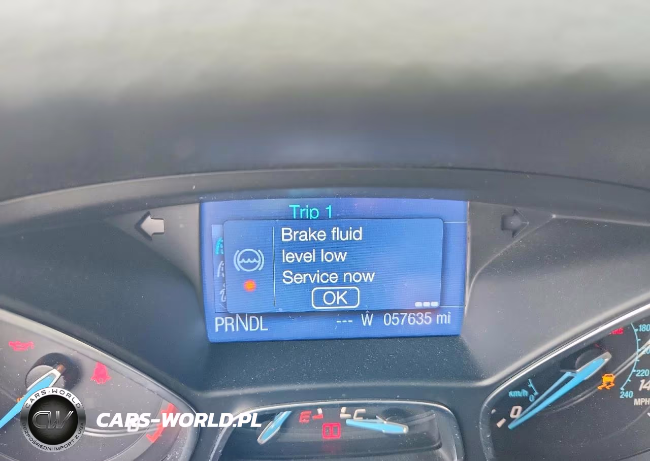 2013 Ford Focus Se VIN:1FADP3F21DL305704 - 9