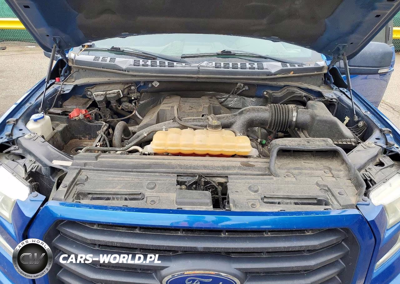 2016 Ford F150 Supercrew VIN:1FTEW1EP2GKE65216 - 11
