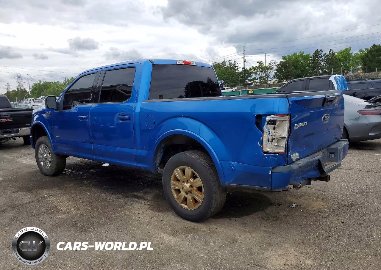 2016 Ford F150 Supercrew VIN:1FTEW1EP2GKE65216 - 2