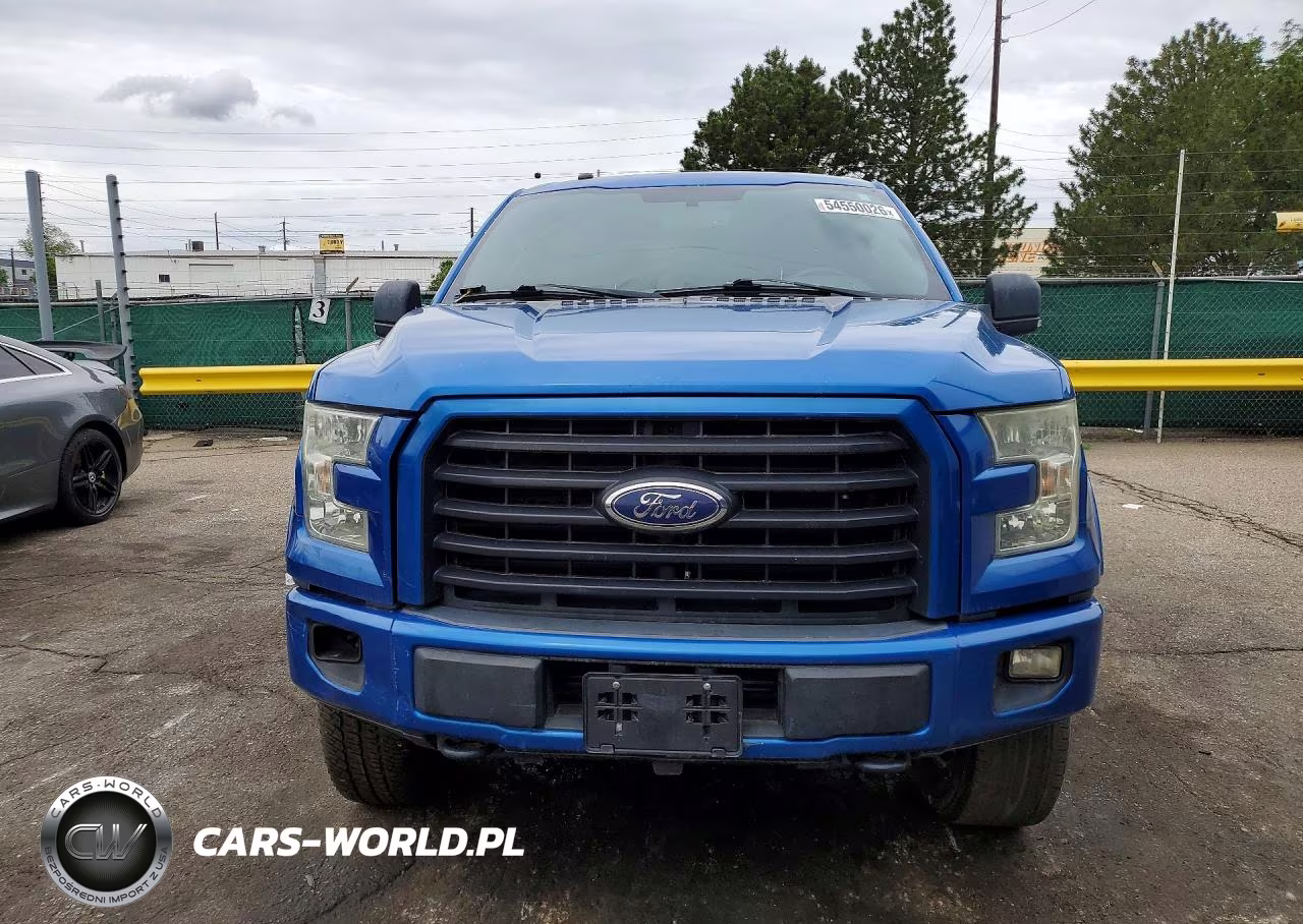 2016 Ford F150 Supercrew VIN:1FTEW1EP2GKE65216 - 5