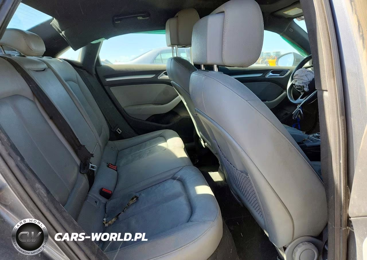 2019 Audi A3 Premium VIN:WAUAUGFF3KA065349 - 10