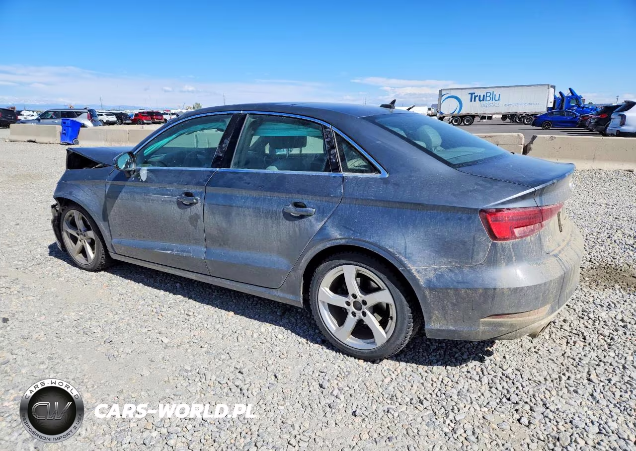 2019 Audi A3 Premium VIN:WAUAUGFF3KA065349 - 2
