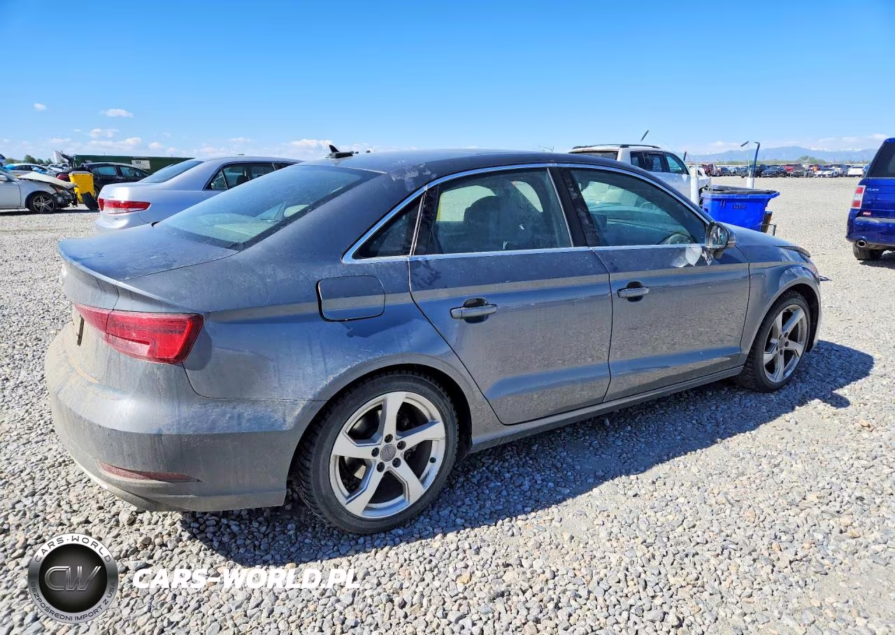 2019 Audi A3 Premium VIN:WAUAUGFF3KA065349 - 3