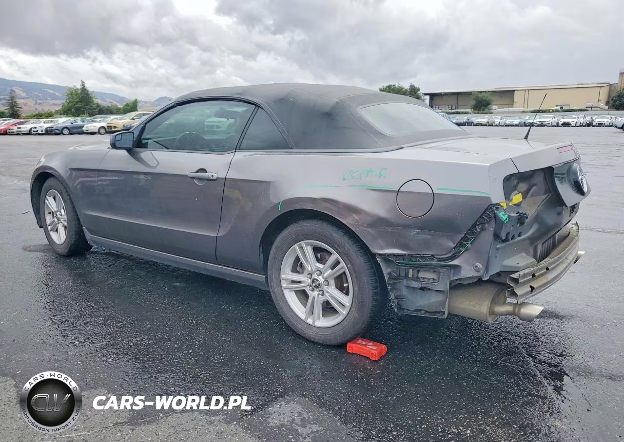 2014 Ford Mustang VIN:1ZVBP8EMXE5208554 - 2