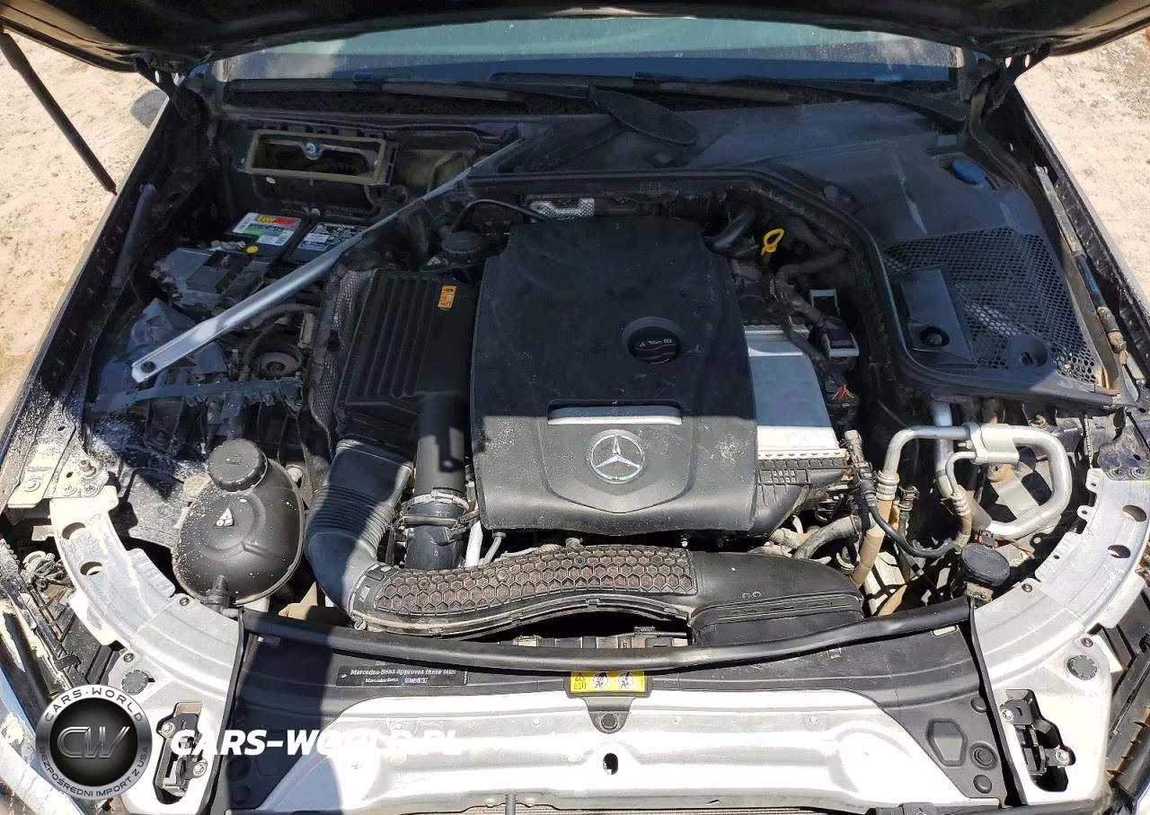 2016 Mercedes-Benz C 300 VIN:55SWF4JB7GU111042 - 11