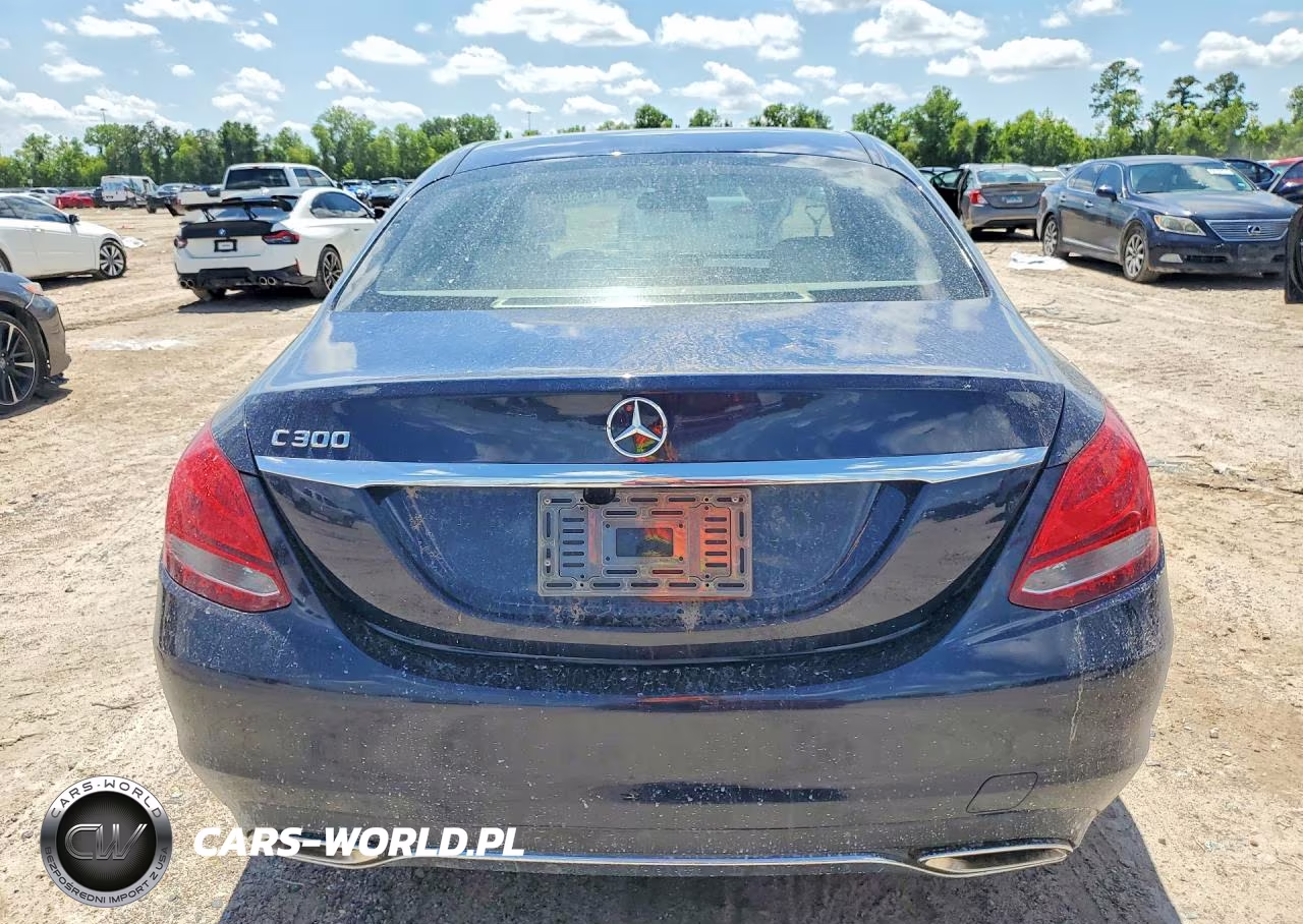 2016 Mercedes-Benz C 300 VIN:55SWF4JB7GU111042 - 6