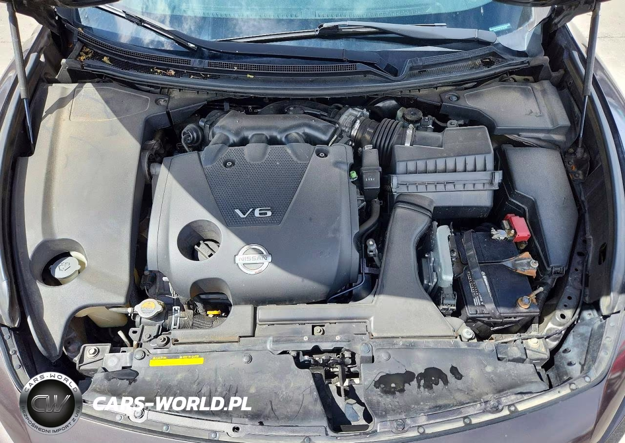 2013 Nissan Maxima 3.5 S VIN:1N4AA5AP1DC803095 - 11