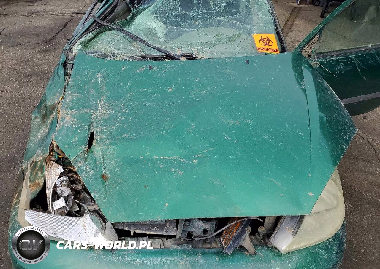 2002 Ford Focus Zx3 VIN:3FAFP31362R141115 - 11