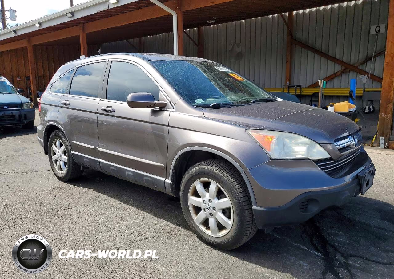 2009 Honda Cr-V Exl VIN:5J6RE48769L025122 - 4
