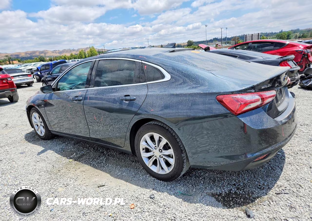 2019 Chevrolet Malibu Lt VIN:1G1ZD5ST9KF213568 - 2