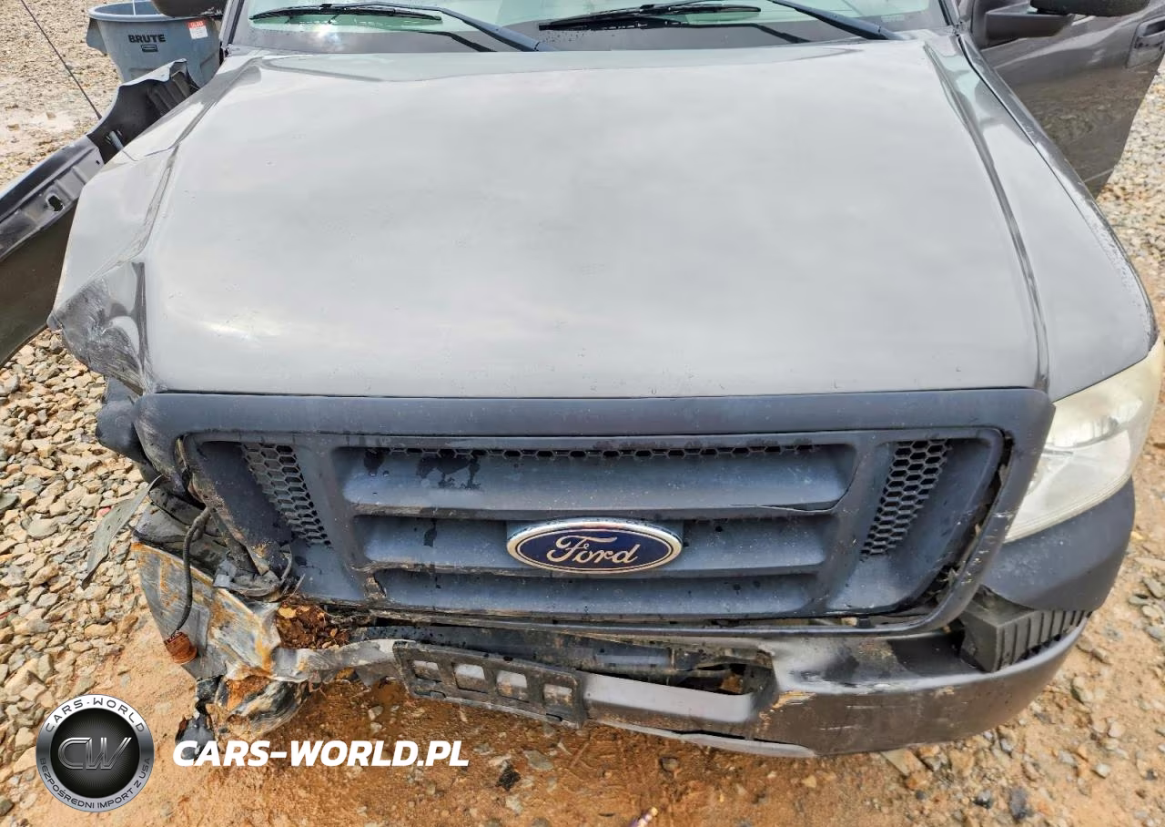 2005 Ford F150 VIN:1FTRF12215NB75894 - 11