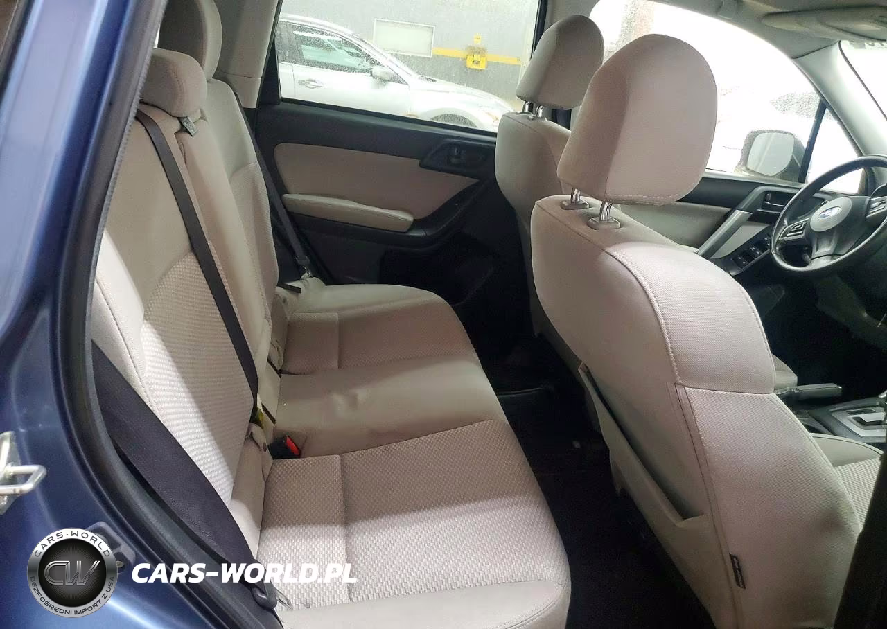 2016 Subaru Forester 2.5I Premium VIN:JF2SJADC6GH508681 - 10