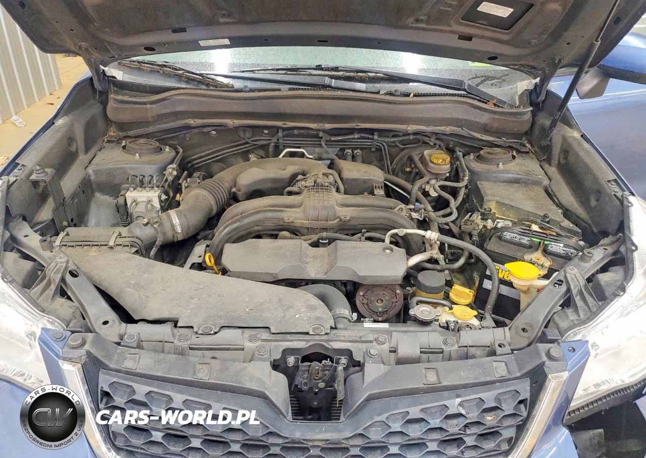 2016 Subaru Forester 2.5I Premium VIN:JF2SJADC6GH508681 - 11