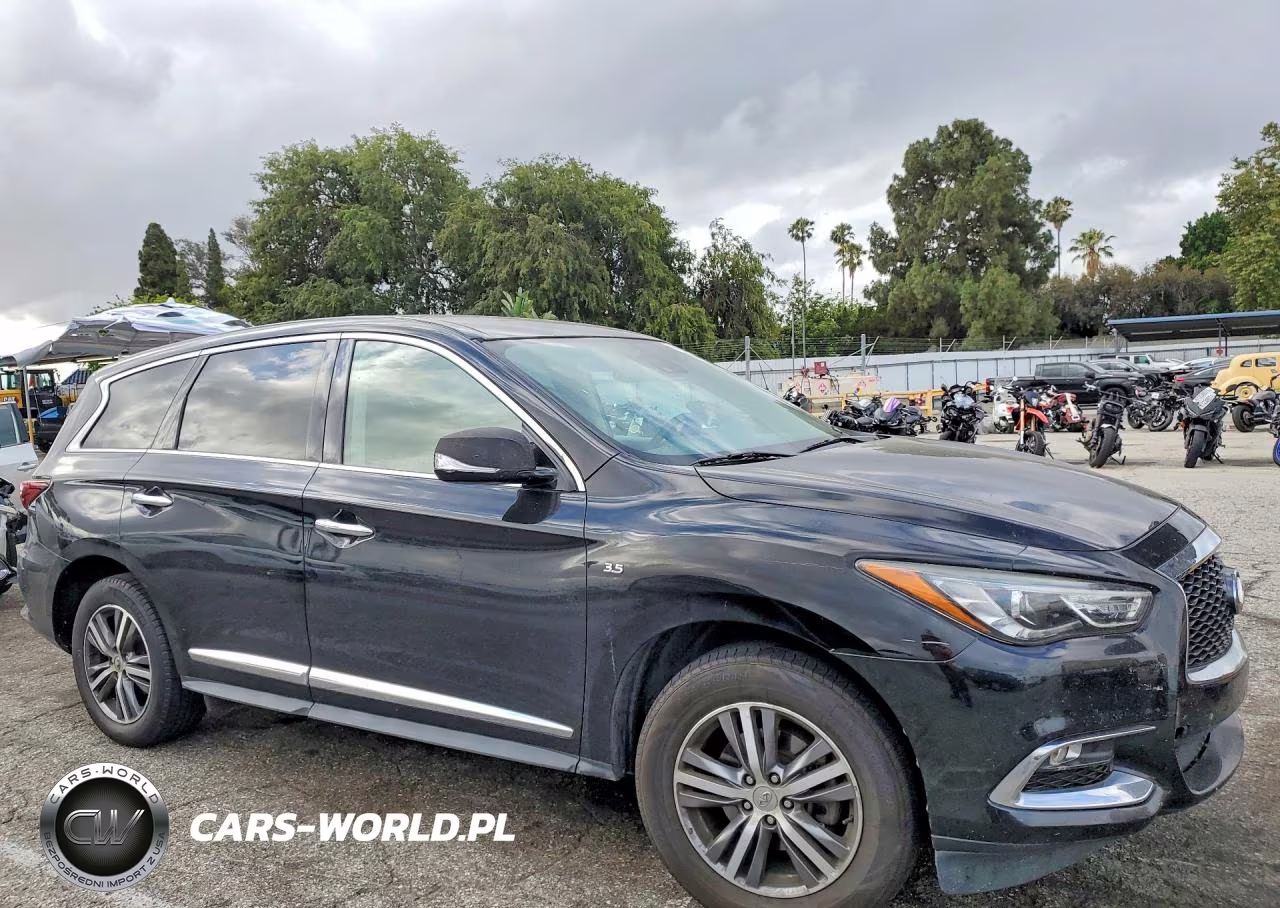 2020 Infiniti Qx60 Pure VIN:5N1DL0MN4LC532963 - 4