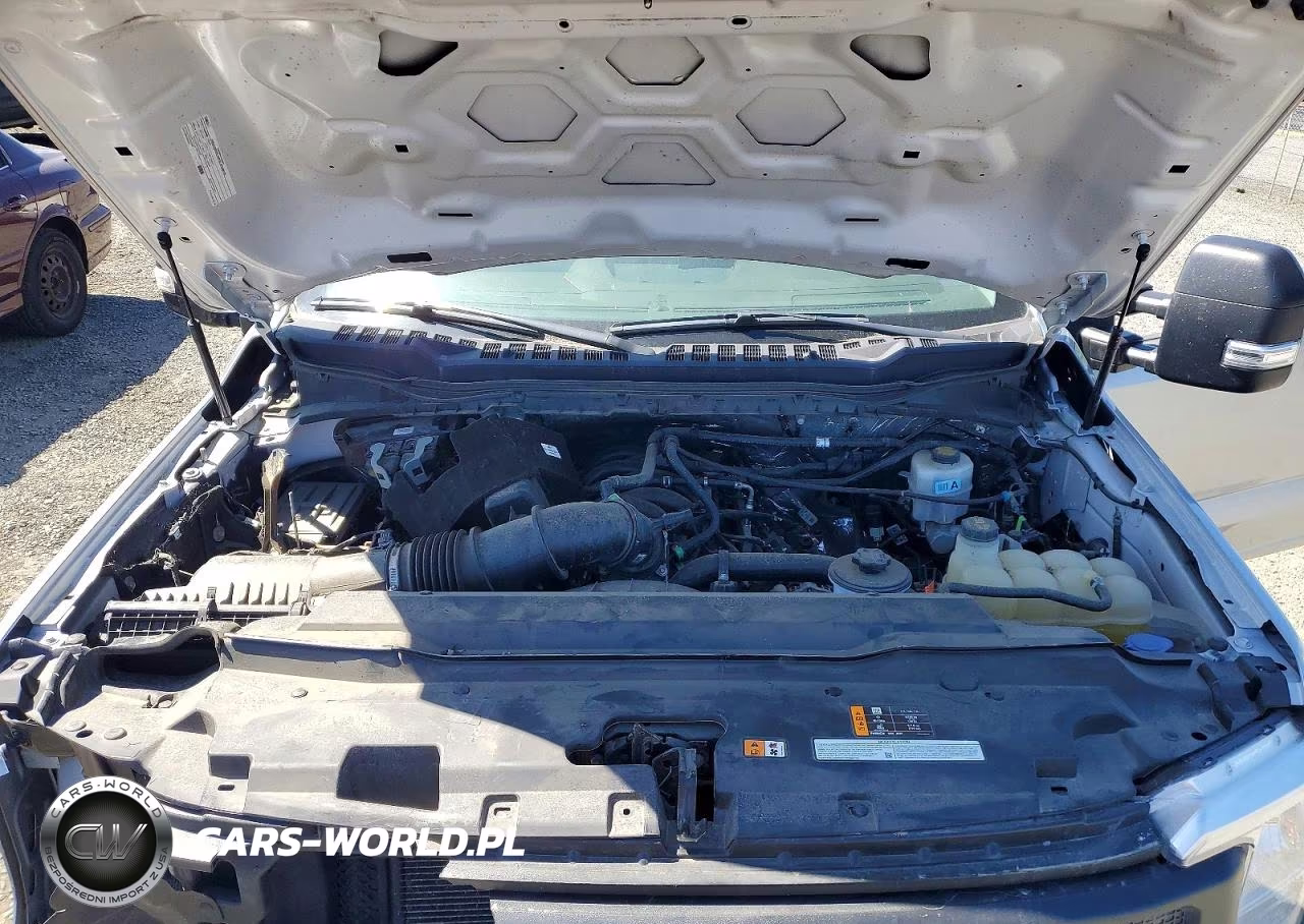 2023 Ford F-250 Xl VIN:1FT7W2BA0PED80274 - 11