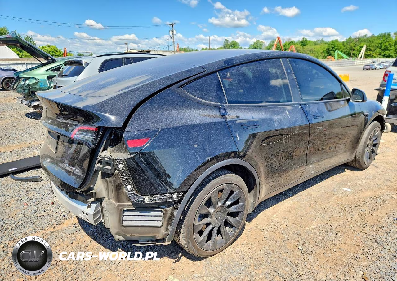2024 Tesla Model Y VIN:7SAYGDEE6RA227220 - 3