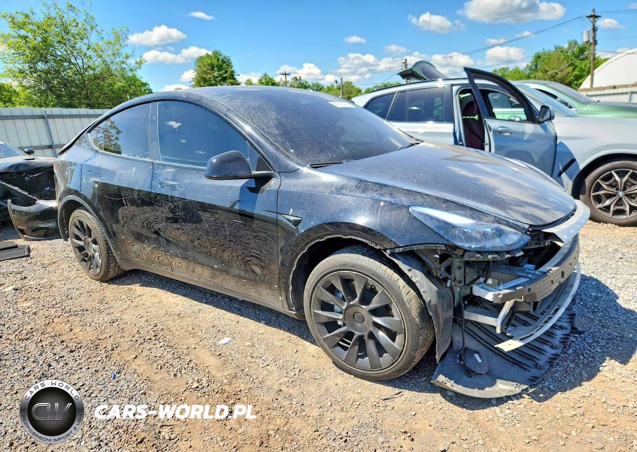 2024 Tesla Model Y VIN:7SAYGDEE6RA227220 - 4