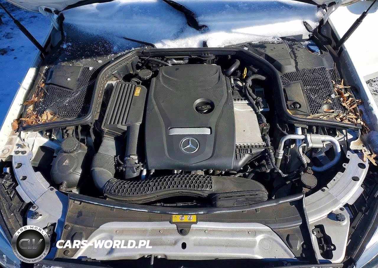 2017 Mercedes-Benz C 300 VIN:55SWF4JB6HU195372 - 11