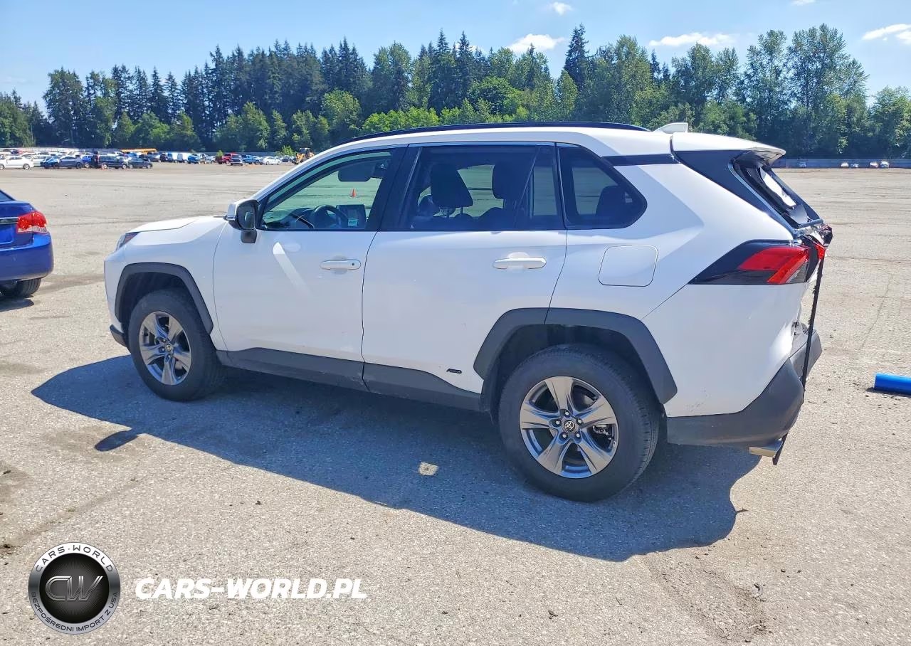 2025 Toyota Rav4 Hybrid Xle VIN:4T3RWRFV6SU181522 - 2