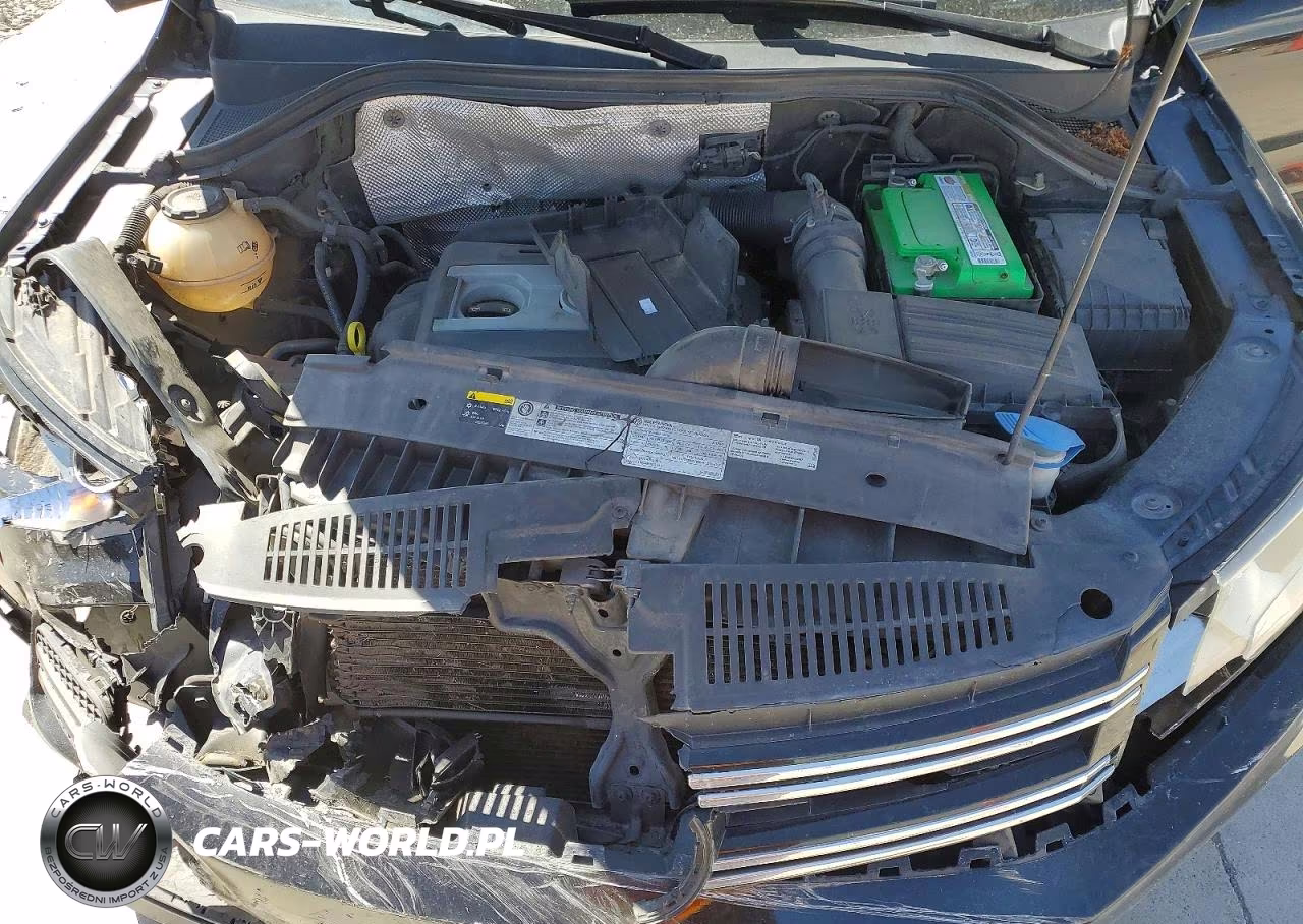 2017 Volkswagen Tiguan S VIN:WVGAV7AX5HK042055 - 11
