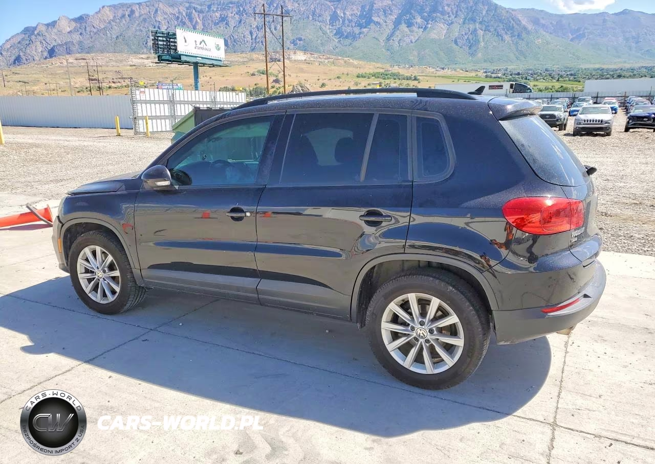 2017 Volkswagen Tiguan S VIN:WVGAV7AX5HK042055 - 2