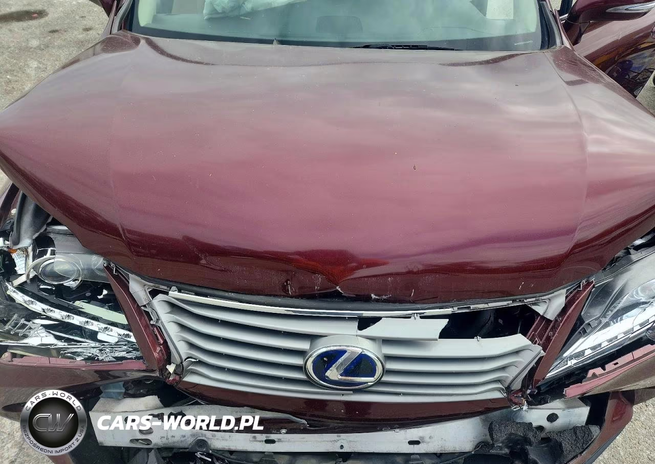 2013 Lexus Rx 450H VIN:JTJZB1BA3D2007707 - 12