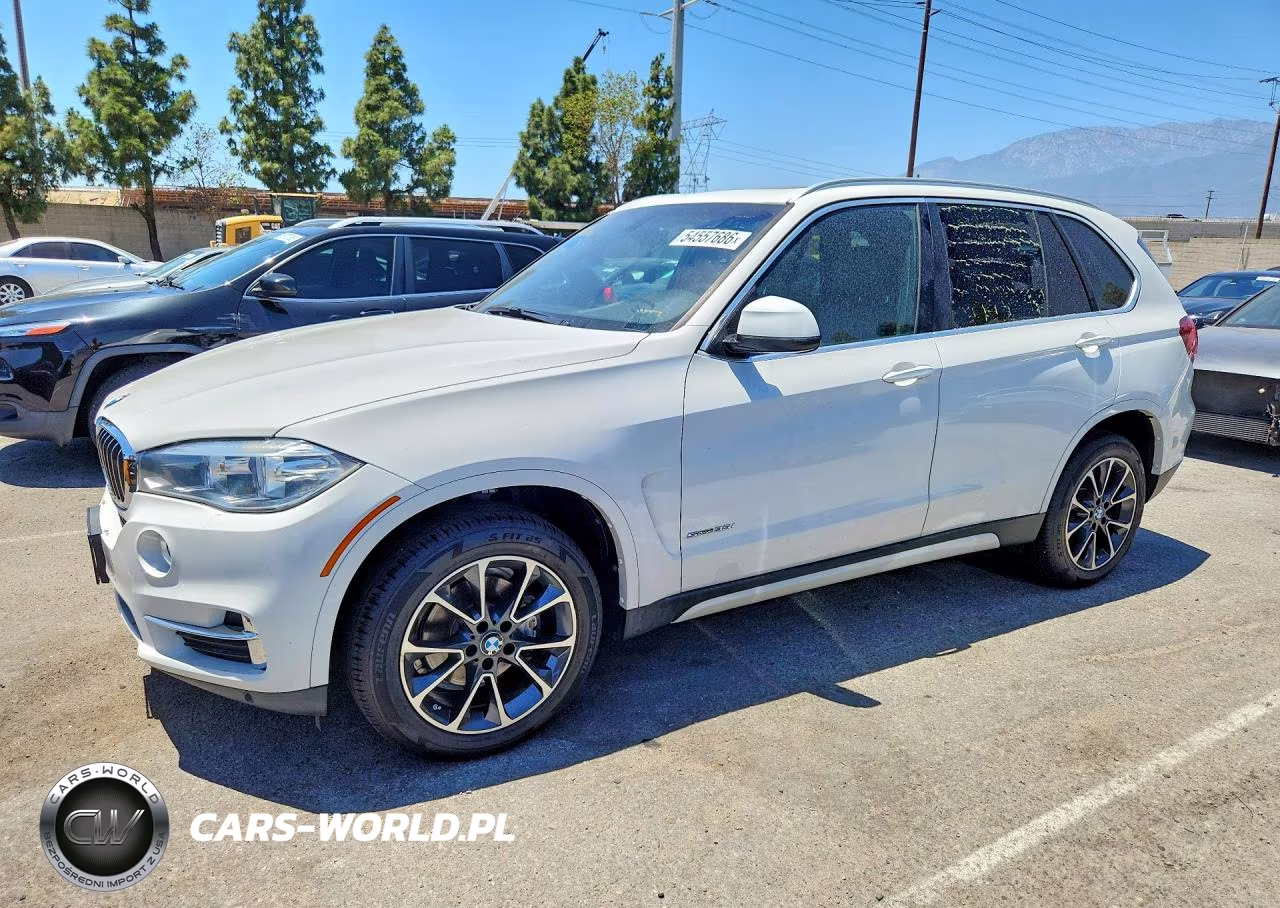 2018 BMW X5 Sdrive35I – zdjęcie 1 z 13