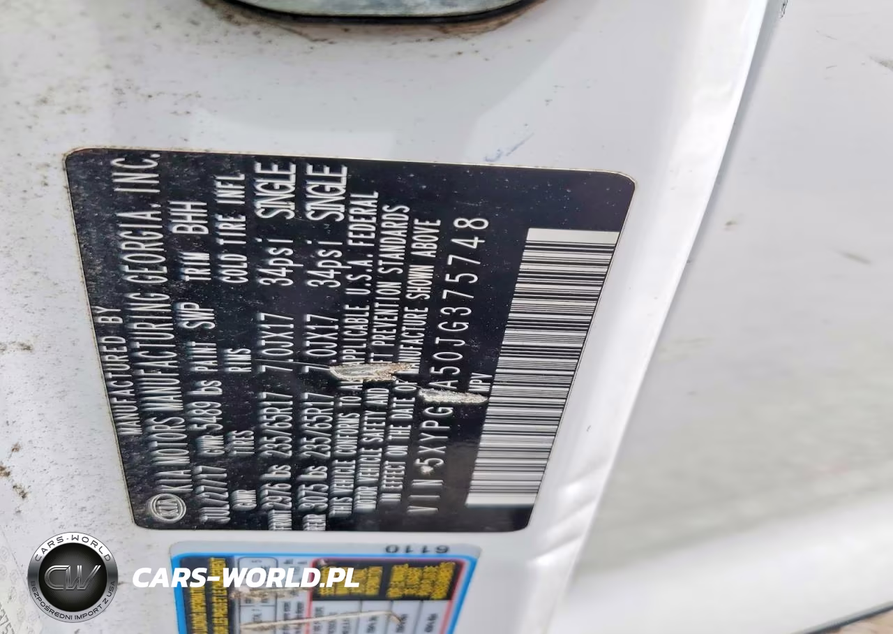 2018 Kia Sorento Lx V6 VIN:5XYPG4A50JG375748 - 12