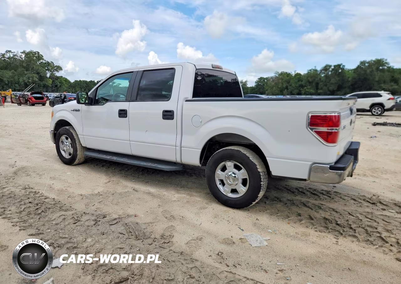 2011 Ford F150 Supercrew VIN:1FTEW1CM8BKD06394 - 2