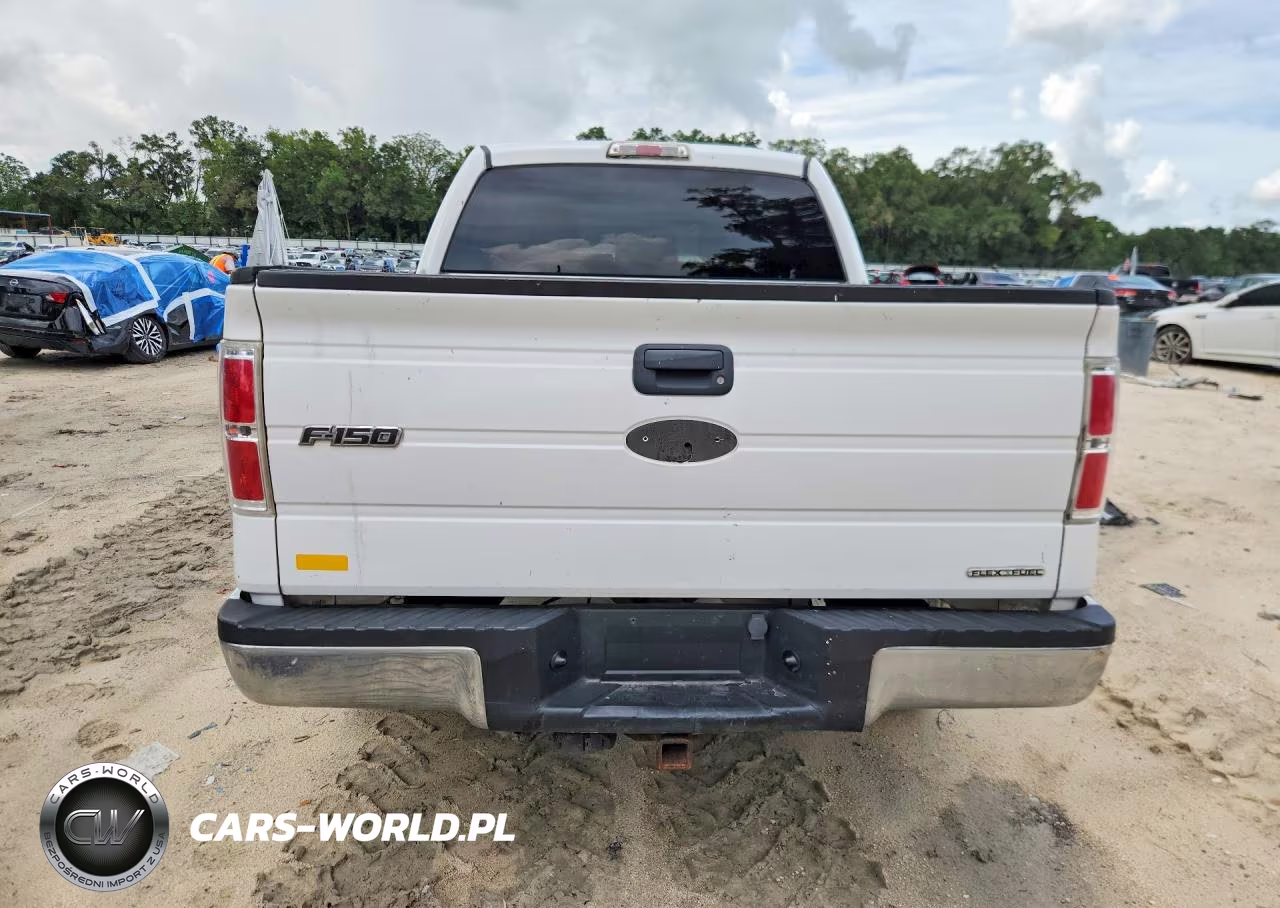 2011 Ford F150 Supercrew VIN:1FTEW1CM8BKD06394 - 6