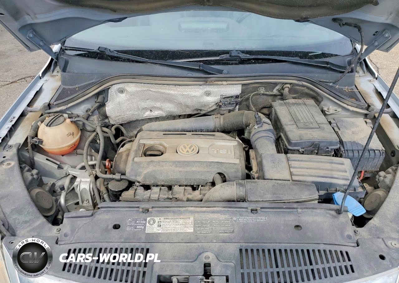 2010 Volkswagen Tiguan Se VIN:WVGBV7AXXAW525902 - 12