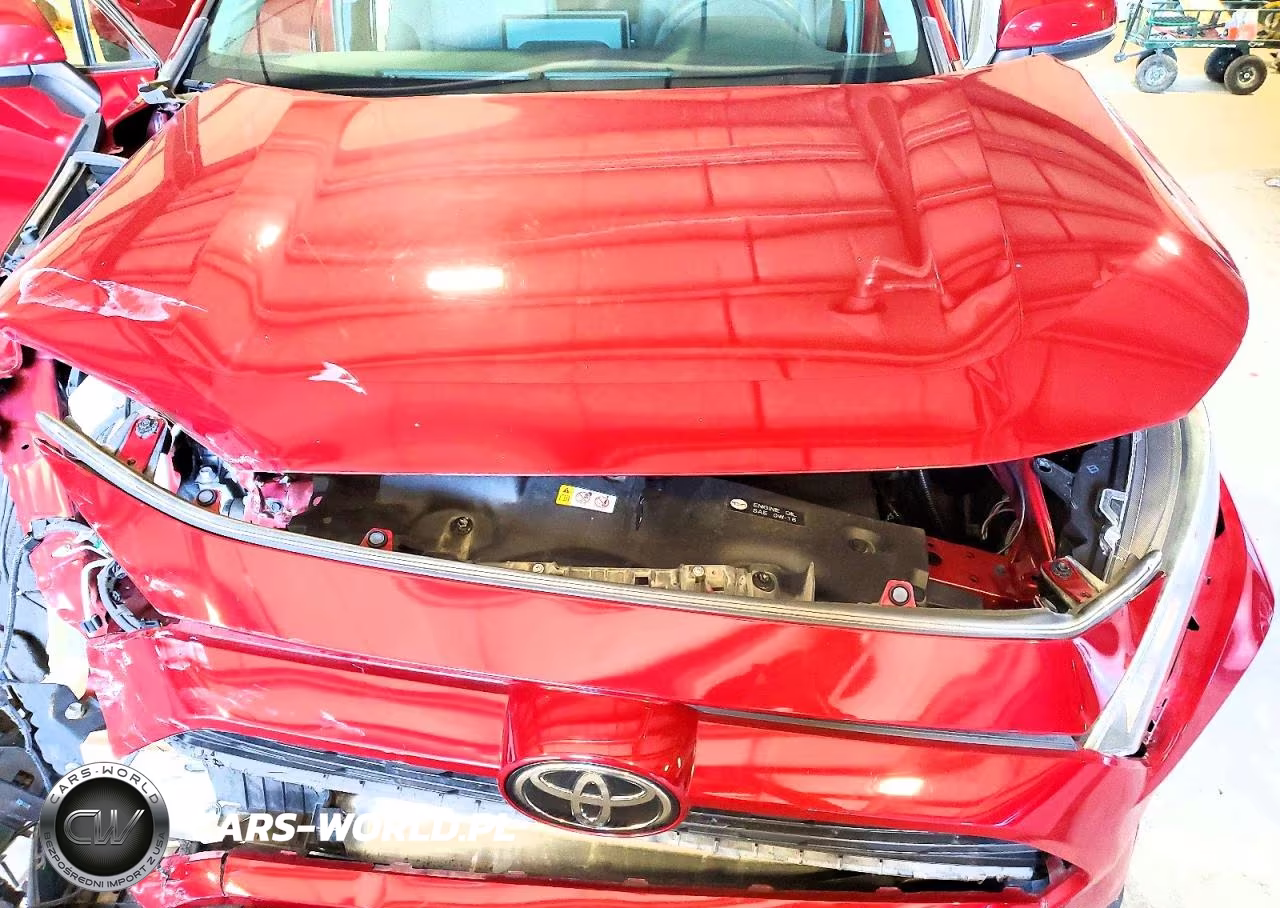 2019 Toyota Rav4 Xle VIN:JTMP1RFV3KD515122 - 12