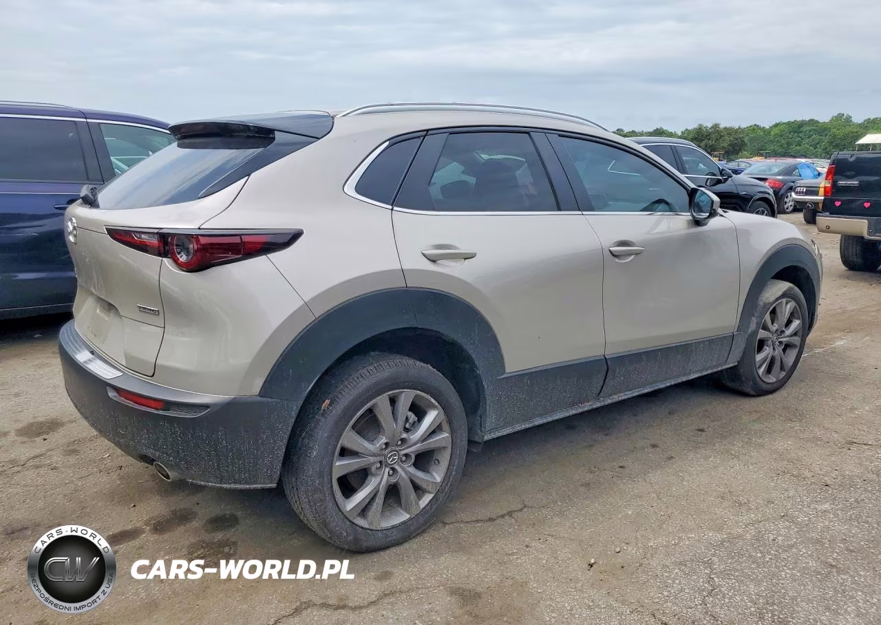 2023 Mazda Cx-30 Preferred VIN:3MVDMBCM4PM586854 - 3