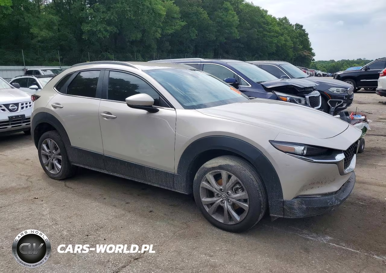 2023 Mazda Cx-30 Preferred VIN:3MVDMBCM4PM586854 - 4