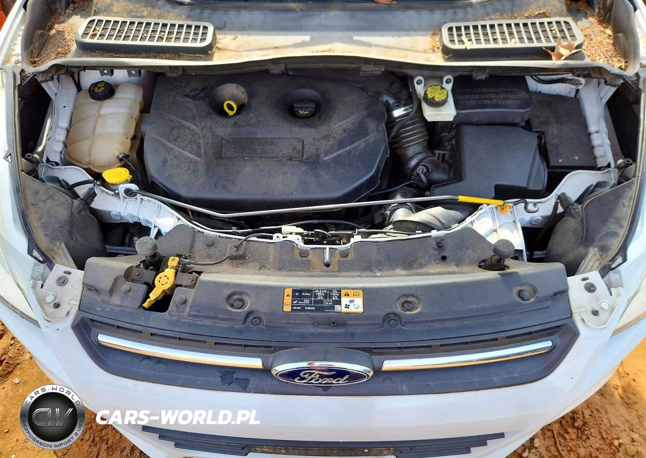 2015 Ford Escape Se VIN:1FMCU9G97FUB42109 - 12
