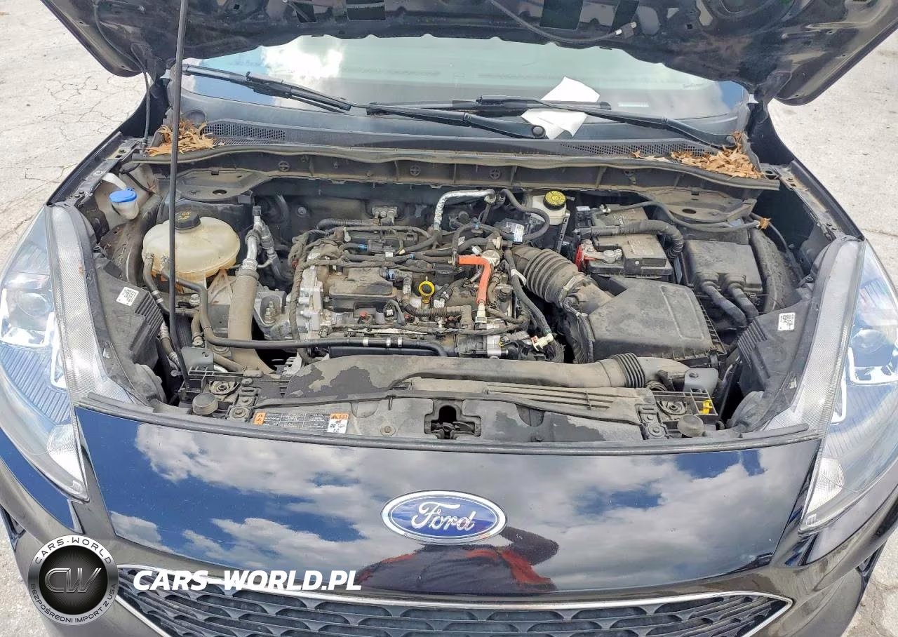 2022 Ford Escape Se VIN:1FMCU0G65NUC04915 - 12