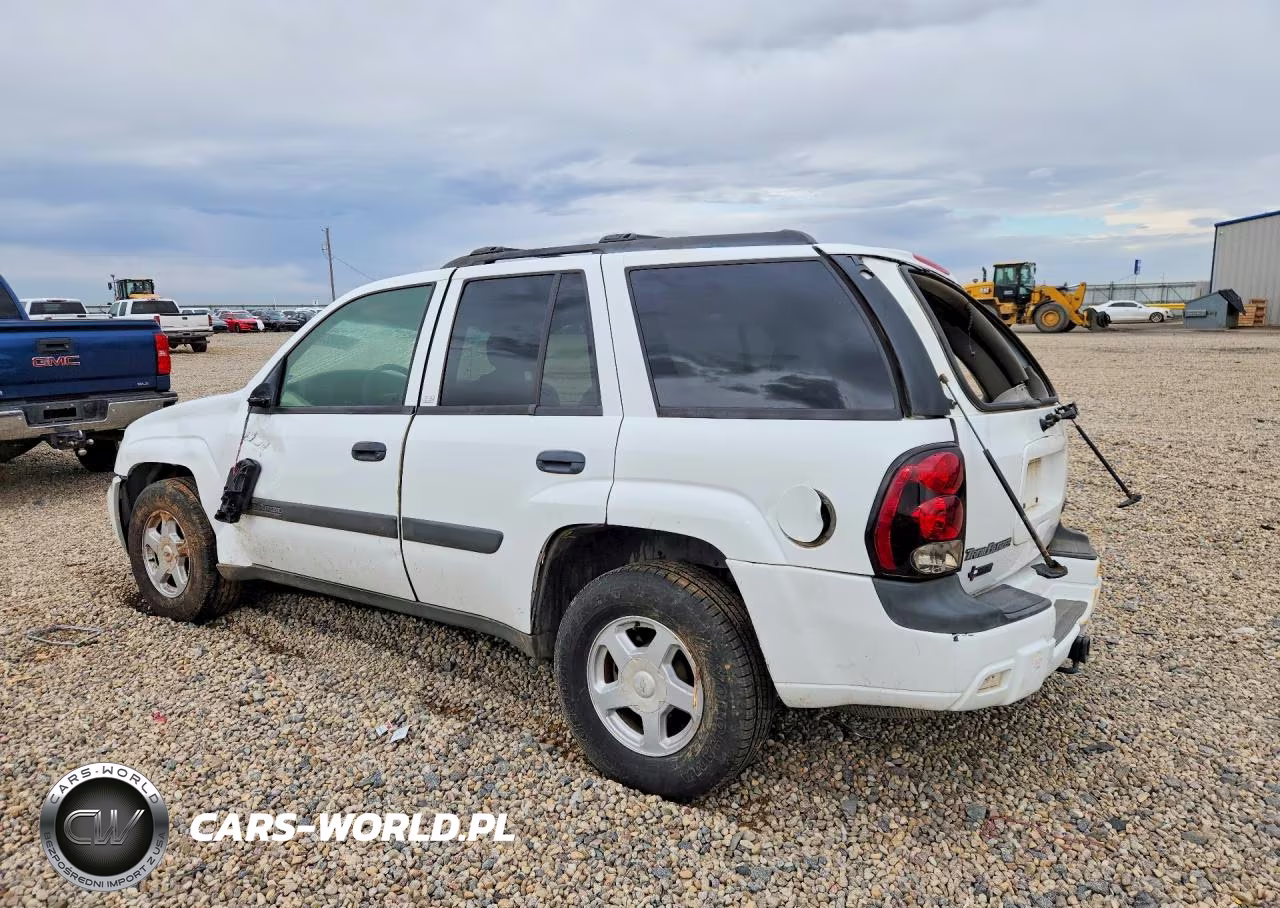2003 Chevrolet Trailblazer VIN:1GNDT13S832231028 - 2