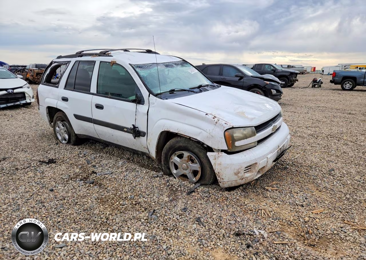 2003 Chevrolet Trailblazer VIN:1GNDT13S832231028 - 4