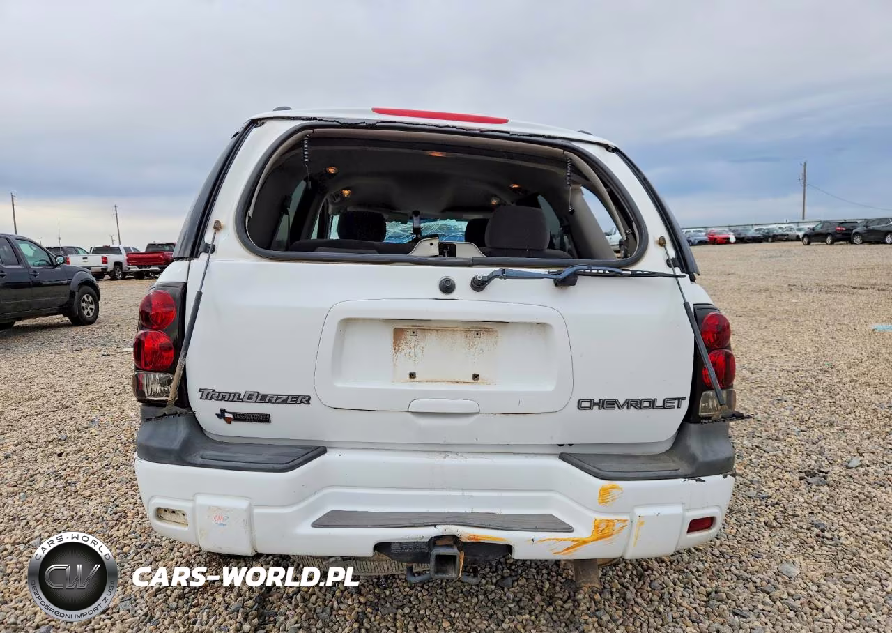 2003 Chevrolet Trailblazer VIN:1GNDT13S832231028 - 6