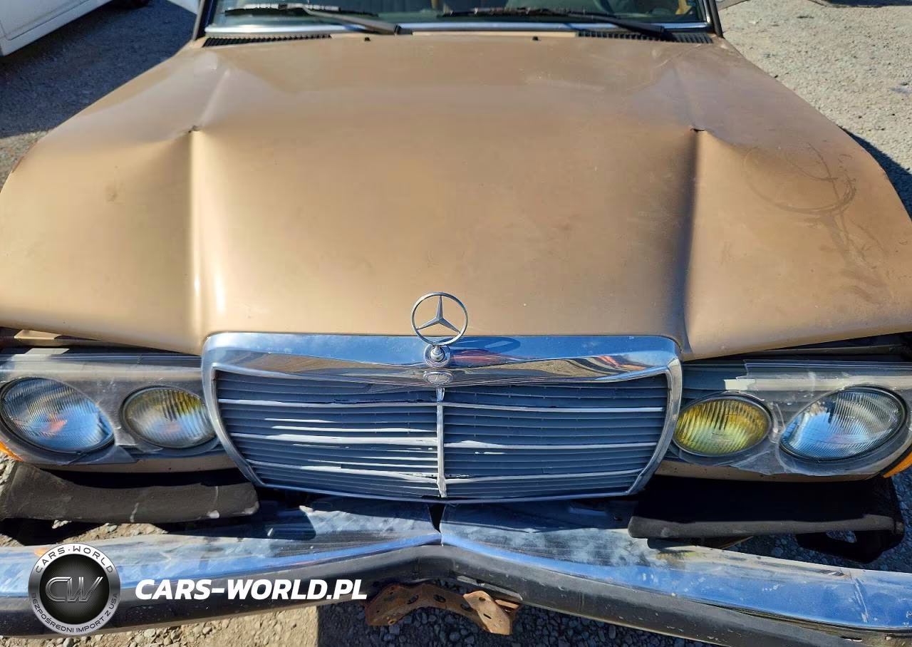 1984 Mercedes-Benz 300 Dt VIN:WDBAB33A0EA036243 - 11