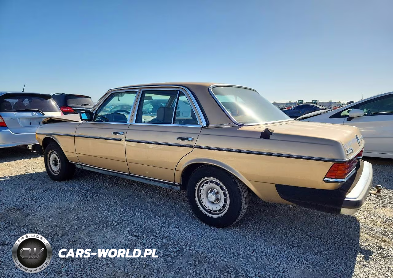 1984 Mercedes-Benz 300 Dt VIN:WDBAB33A0EA036243 - 2