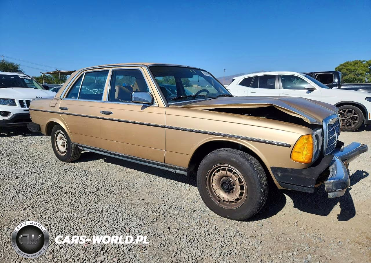 1984 Mercedes-Benz 300 Dt VIN:WDBAB33A0EA036243 - 4