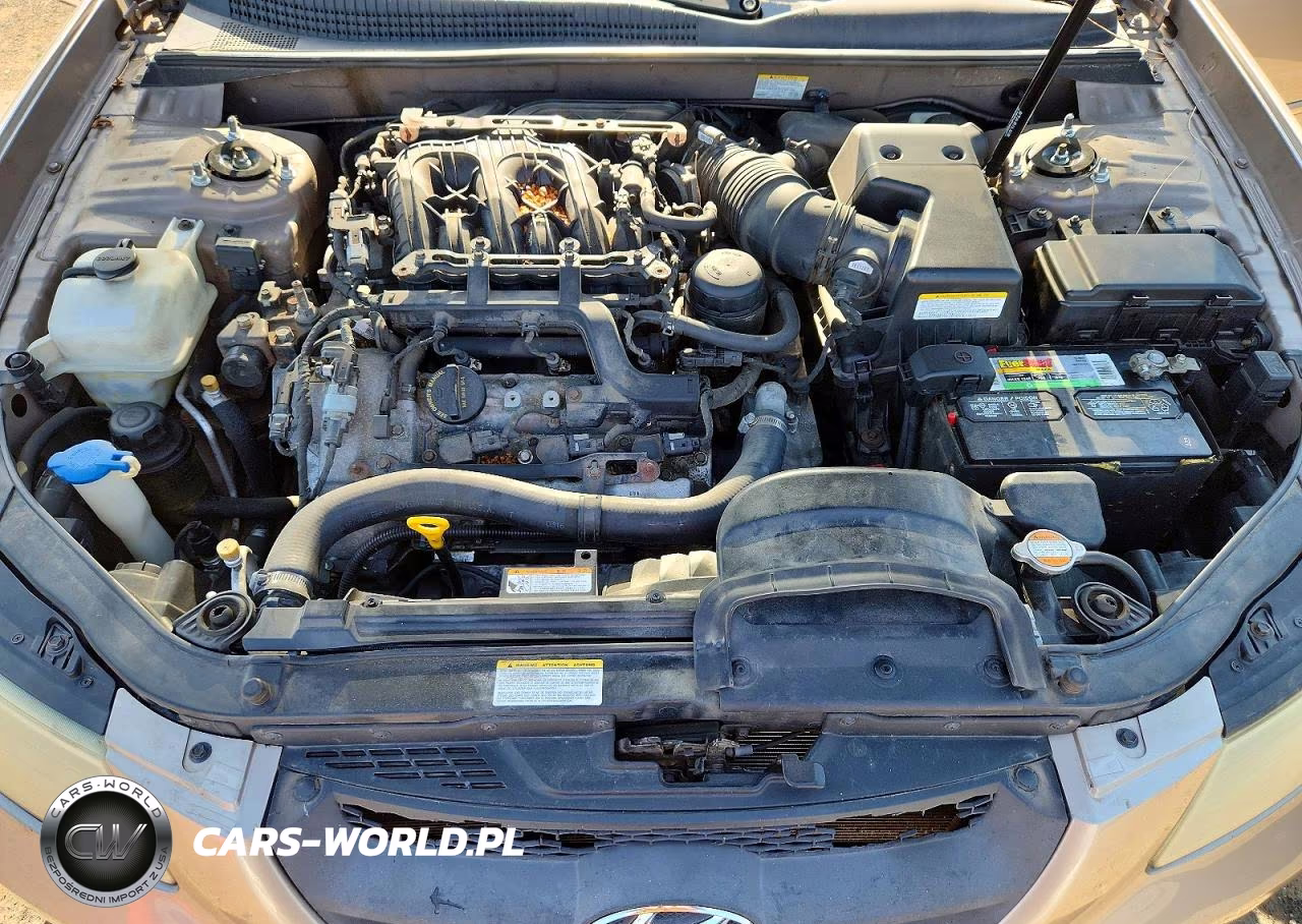 2007 Hyundai Sonata Se VIN:5NPEU46F47H173935 - 11
