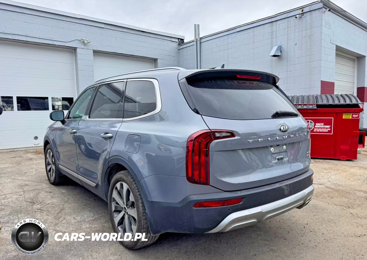 2020 Kia Telluride S VIN:5XYP64HC0LG065187 - 3